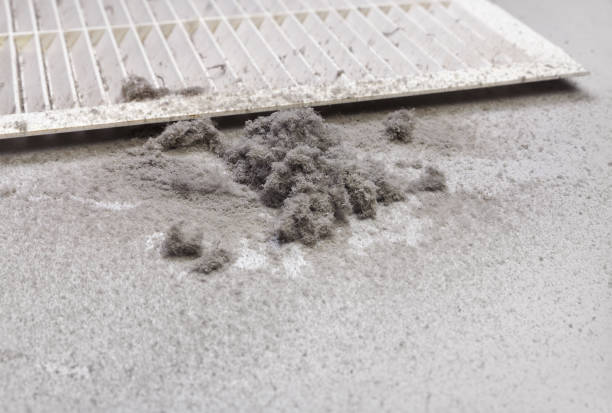 Home Air Vent Cleaning in Edgewater, MD