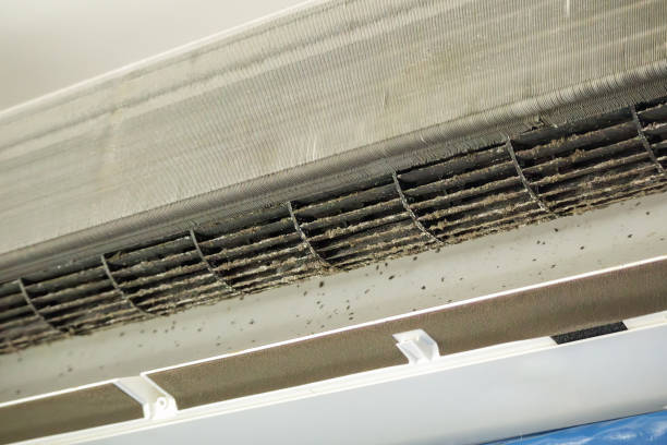 Best Ductwork Cleaning Services  in Edgewater, MD