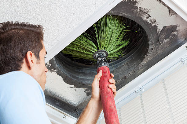 Best HVAC Air Duct Cleaning  in Edgewater, MD